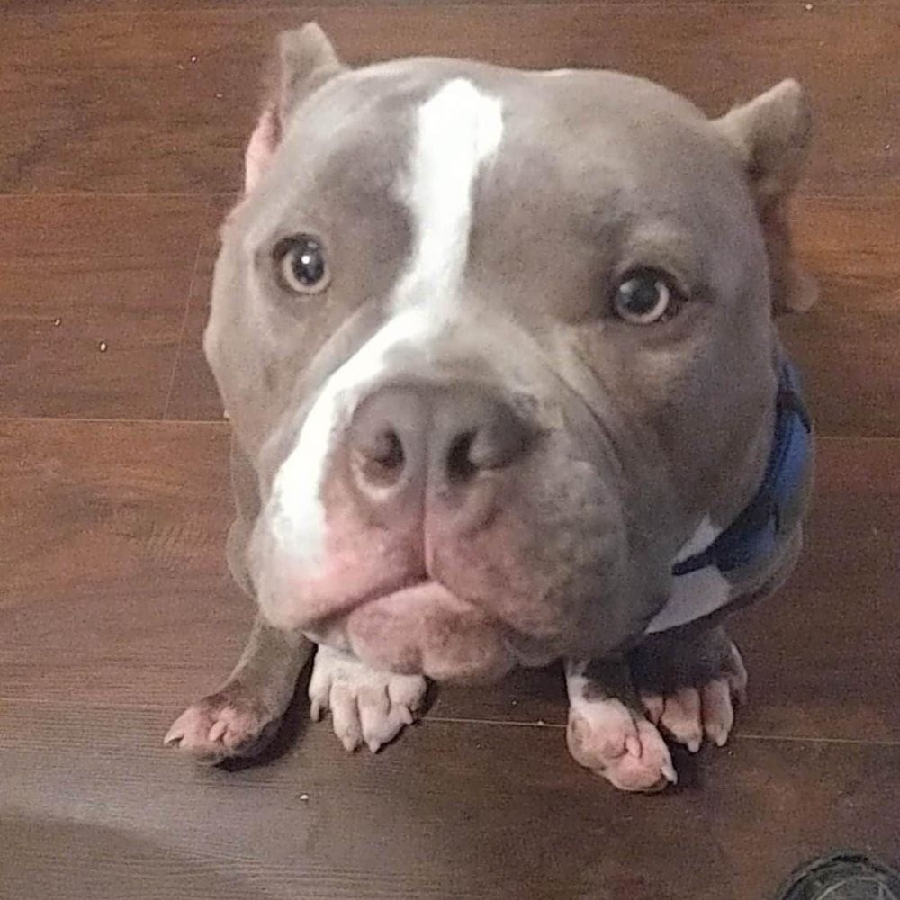 Meet your Posher, Rosa